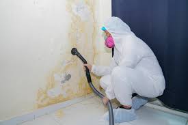 Best Mold Odor Removal Services  in USA